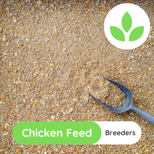 GroChick- Chicken Feed