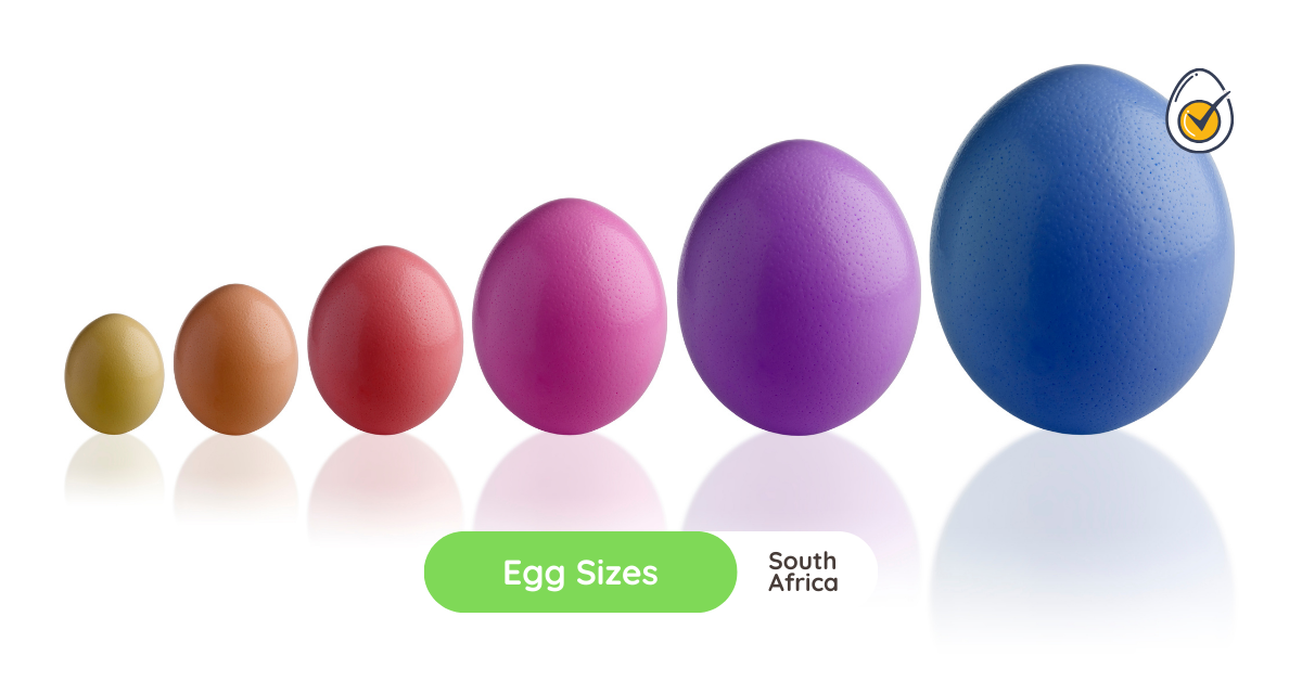 GroChick - Egg Sizes South Africa